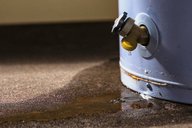 Best Basement water damage restoration  in Leonard, TX
