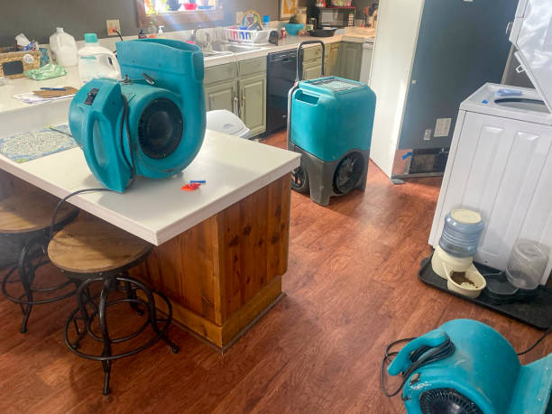 Best Water damage restoration mold remediation  in Leonard, TX