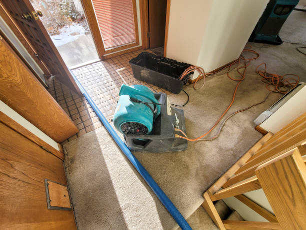 Best Water damage restoration process  in Leonard, TX