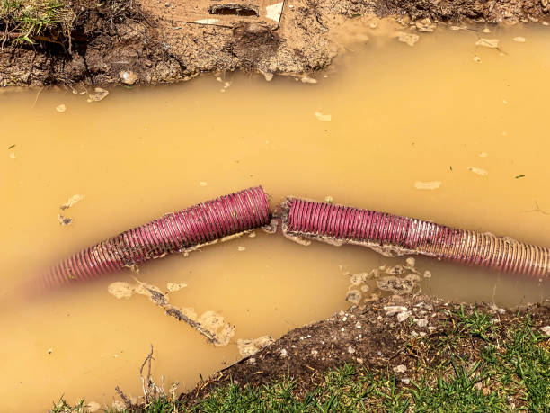 Water damage restoration mold remediation in TX